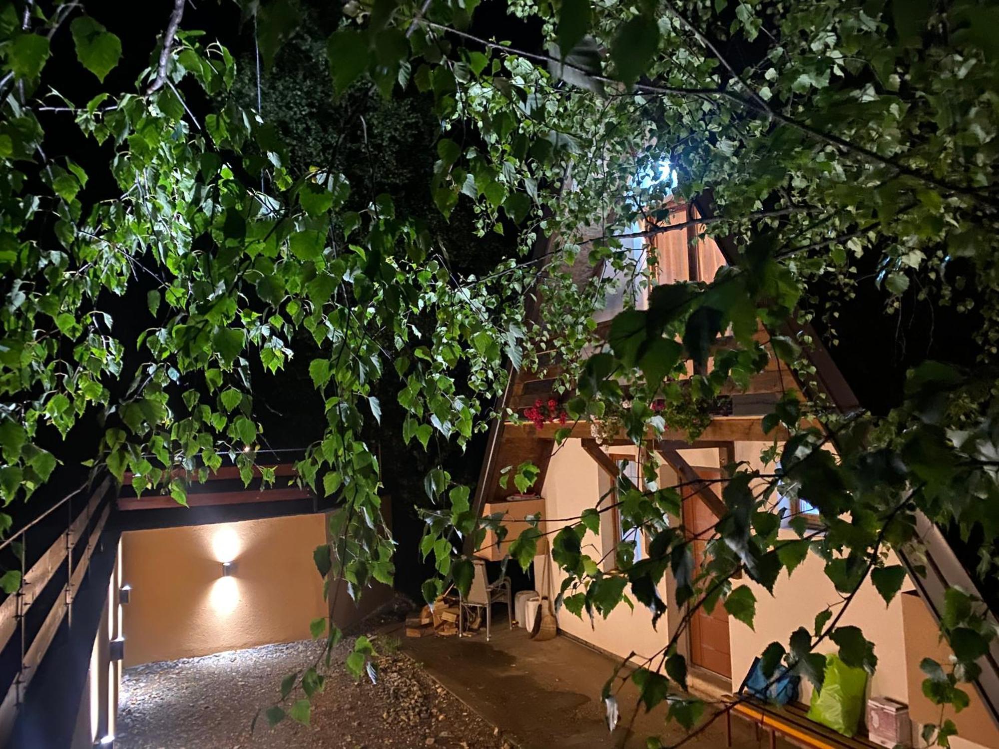 Vikendica Stojanovic Mionica Exterior foto